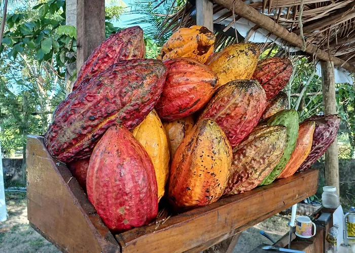 Pousada Cacau e Dendê Barra Grande 